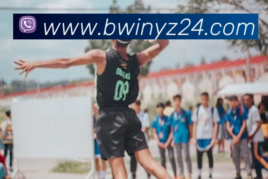 App Interface Preview