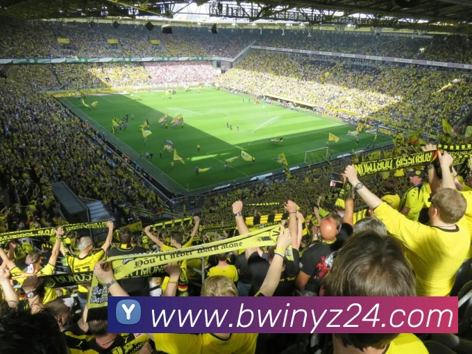 bwin必赢亚洲官网平台APP 封面图