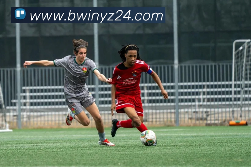 数据防护可视化